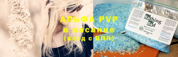 a pvp Пересвет