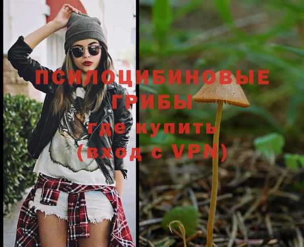 a pvp Пересвет