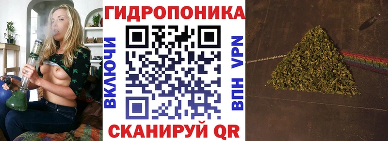 цена   Темников  МАРИХУАНА Ganja 
